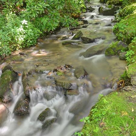 Panther Creek Cabins Чероки Экстерьер фото